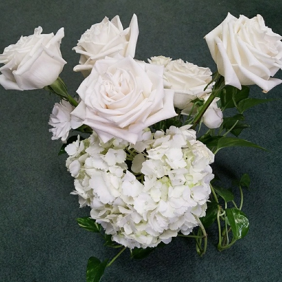 Meet your Posher, Christina - Picture 1 of 1